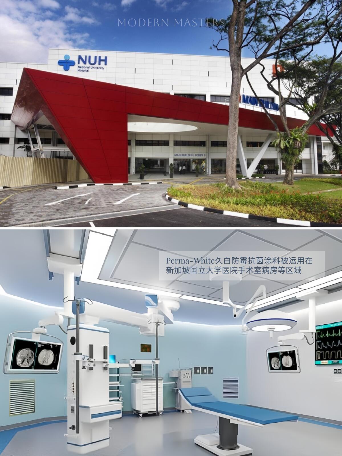 新加坡国立大学医院 (1)